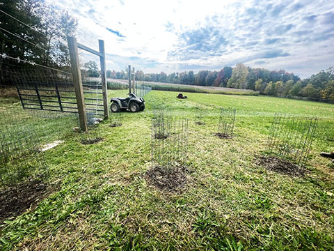 9 Trees / 5' Grid / 15' Enclosure. 9 Trees / 5' Grid / 15' Enclosure.