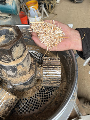 Miscanthus Biomass