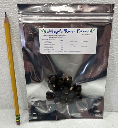 10 Seed/Nut Bag 10 Seed/Nut Bag